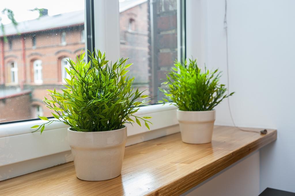 Apartament Zamulkowa *